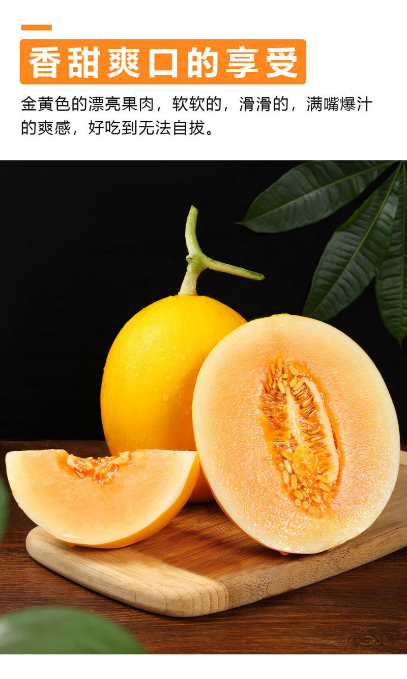 外婆喵 【民勤蜜瓜9斤】新鲜水果蜜瓜现摘沙漠甜瓜当季新鲜黄金蜜瓜甜瓜