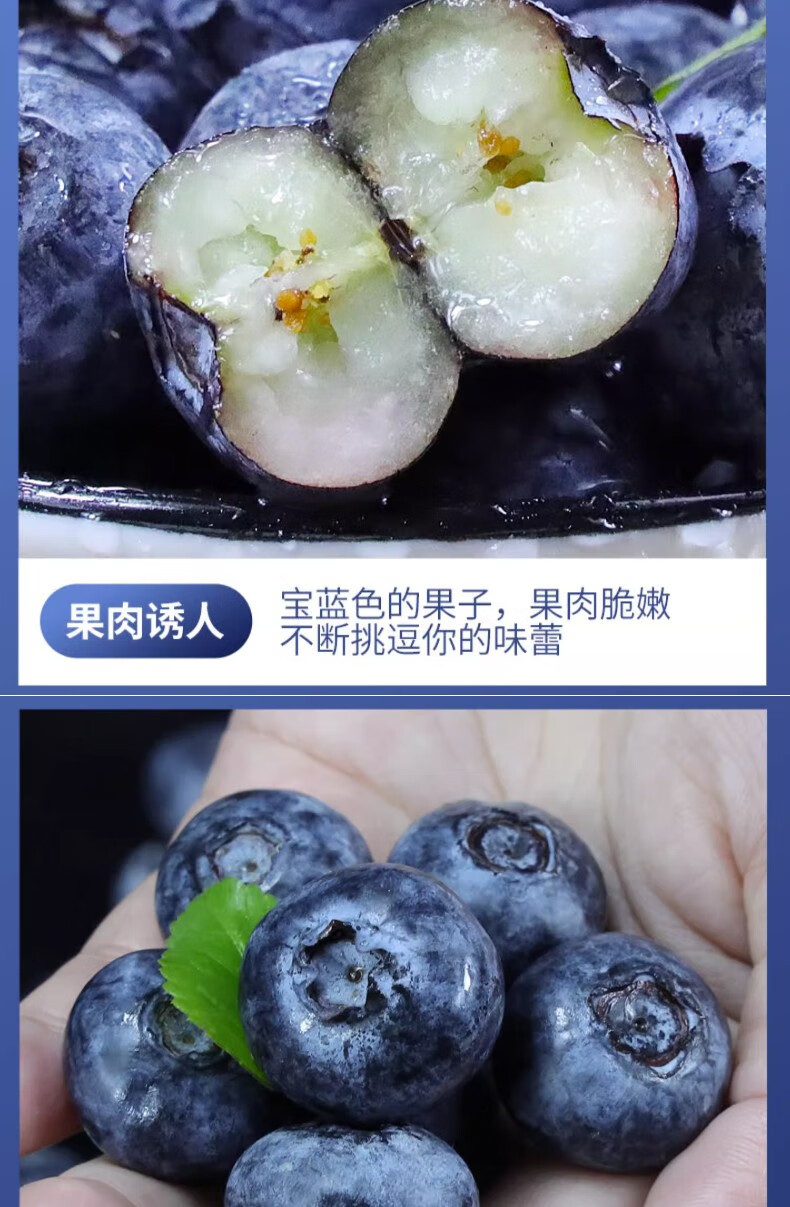 外婆喵 【蓝莓*4盒】新鲜中果当季现摘高山甜怡颗蓝莓生鲜时令水果