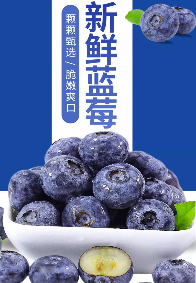 外婆喵 新鲜【蓝莓*4盒】中果当季现摘高山甜怡颗蓝莓生鲜时令水果