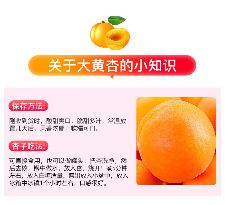 外婆喵 现摘新疆一级大黄杏3斤新鲜水果甜杏子当季水果酸杏山杏清甜多汁