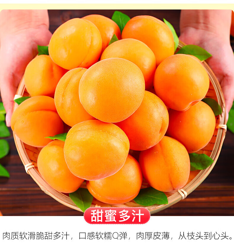 外婆喵 现摘新疆一级大黄杏3斤新鲜水果甜杏子当季水果酸杏山杏清甜多汁