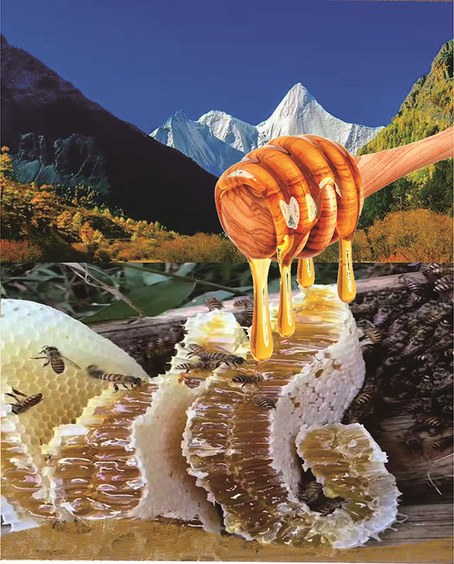 藏野花 西藏高原野生百花成熟蜂蜜250g罐装