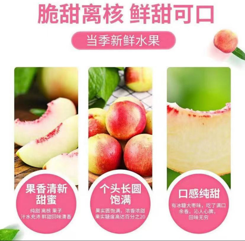 农惠鲜 【果园直发】珍珠枣油桃5斤