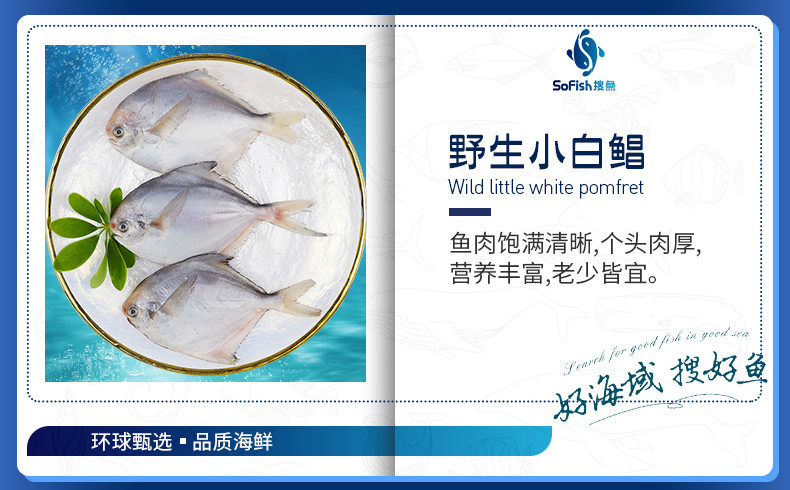 搜鱼 【现货】搜鱼远洋海鲜礼盒V6型鲜活冷冻海产大套餐节日送礼大礼