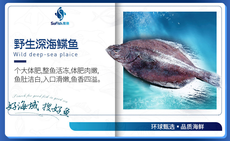 搜鱼 【现货】搜鱼远洋海鲜礼盒V3型鲜活冷冻海产大套餐节日送礼大礼