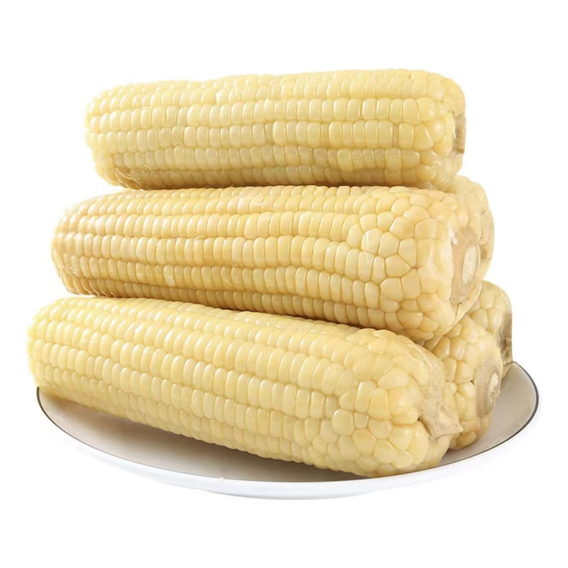 坝上鲜 大好农品鲜食玉米8支装（京津冀专属链接）