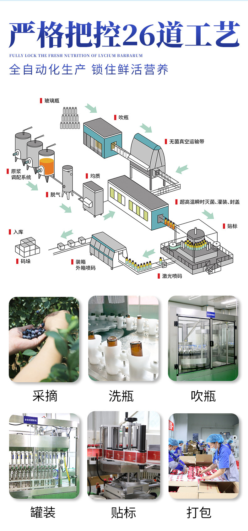 老农杞 蓝莓鲜果原浆 NFC原浆果汁 每瓶50ml