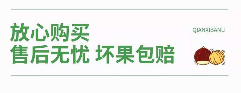 农家自产 新鲜迁西板栗生栗子