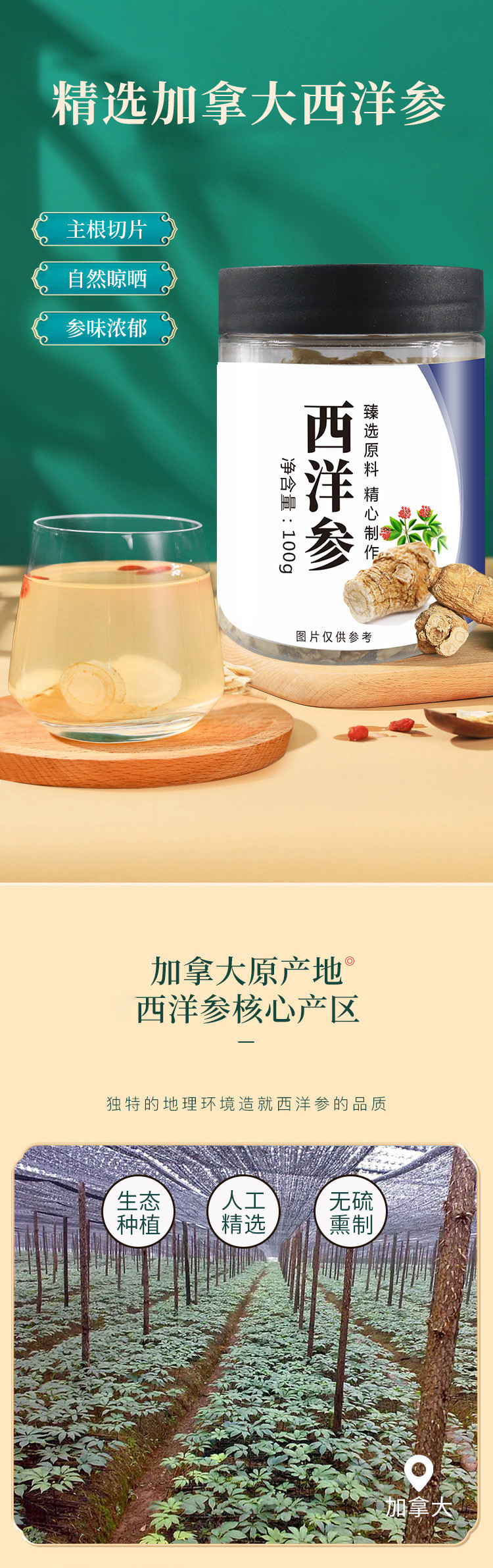 燕天使 加拿大西洋参片 100g/瓶