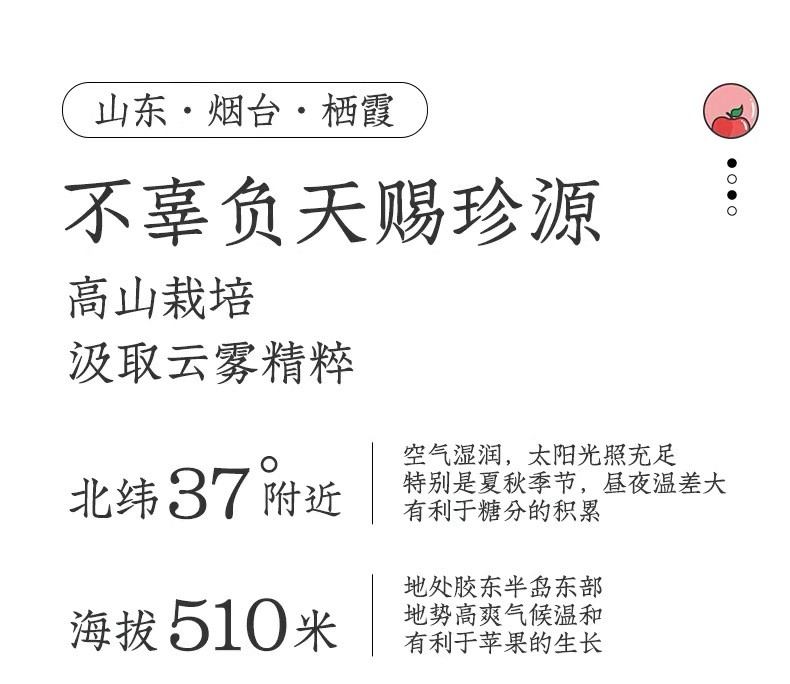 百果坚坚  【现摘现发】烟台红富士八瓣苹果  不打蜡 不催熟