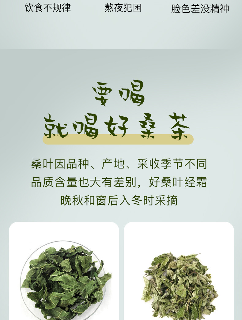 桑间优品 桑叶茶