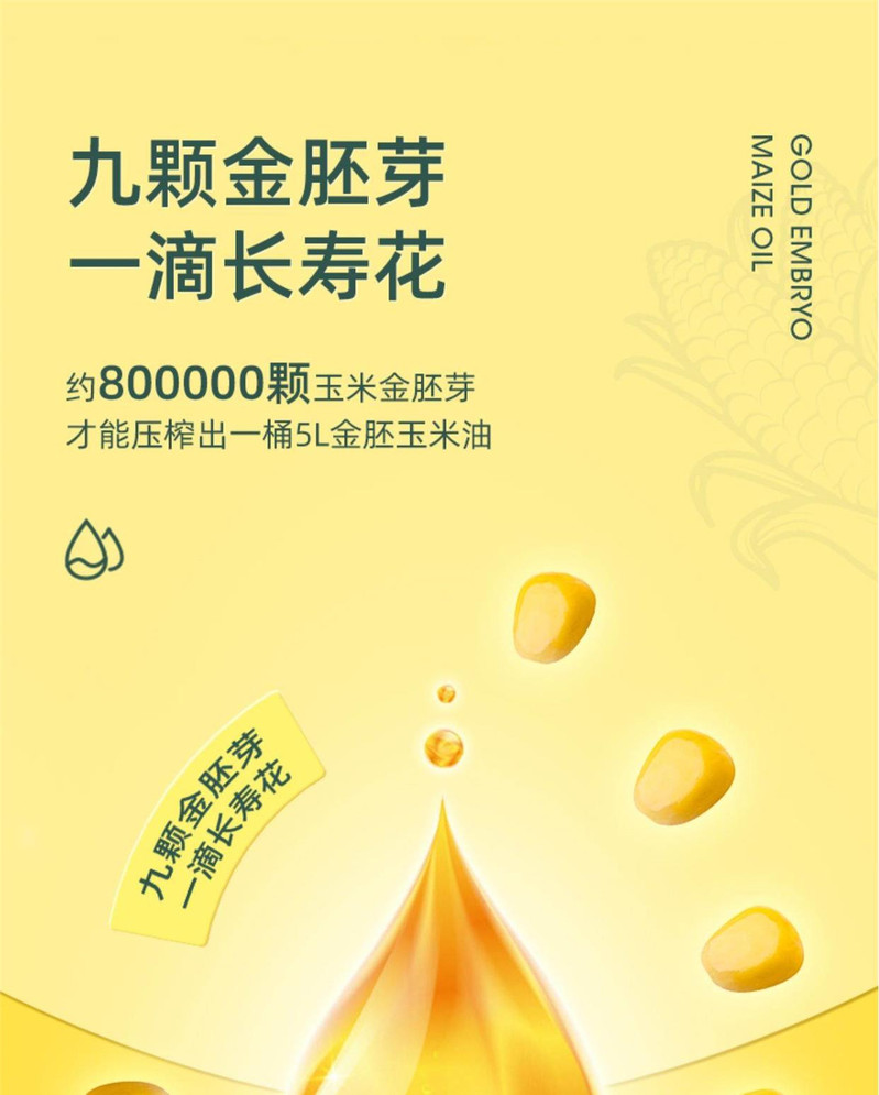 长寿花 【包邮】长寿花金胚玉米油1L非转基因压榨一级食用油烘焙炒菜家