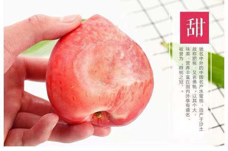 果皙 【现摘】香甜爆汁水蜜桃新鲜采摘桃子
