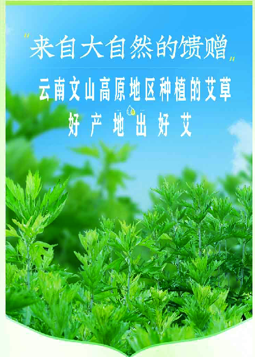 亿天媛 艾草精油手工精油皂[云南文山]