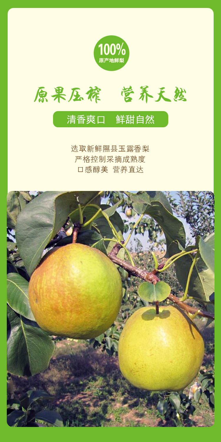 隰州天天 隰县玉露香梨汁 新鲜果汁