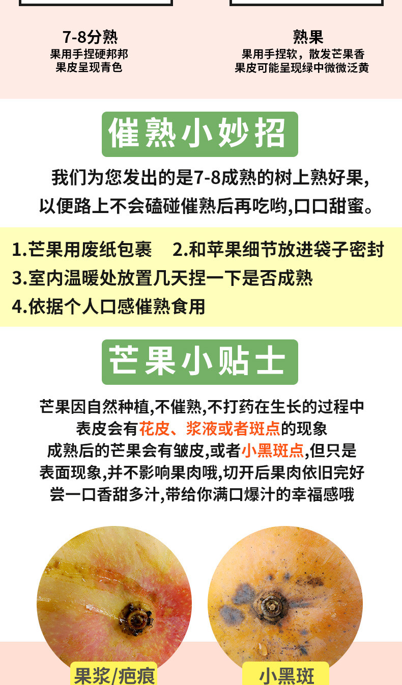 自产自销 【原产地】越南大青芒当季甜心青芒果精品大果9斤装新鲜青皮芒果