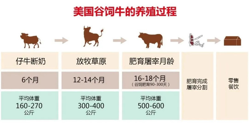 汖茗元 安格斯板腱