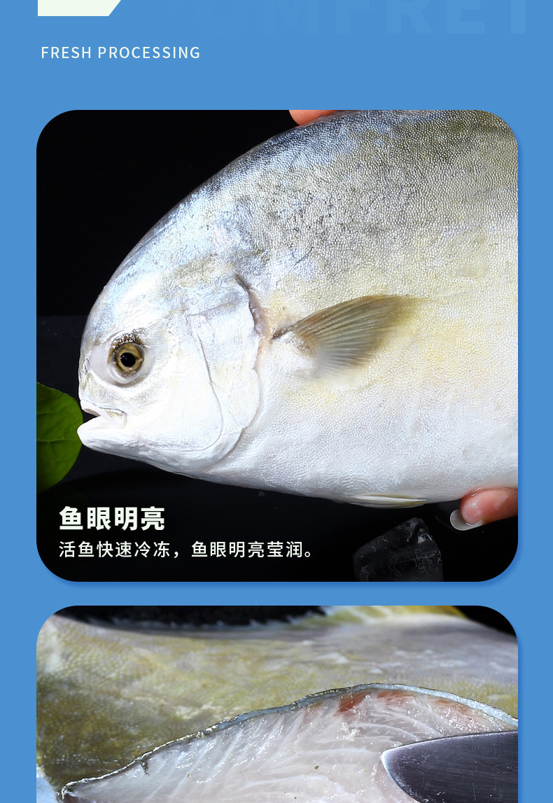 简鲜 深海新鲜冷冻金鲳鱼350-400g*3条扁鱼平鱼