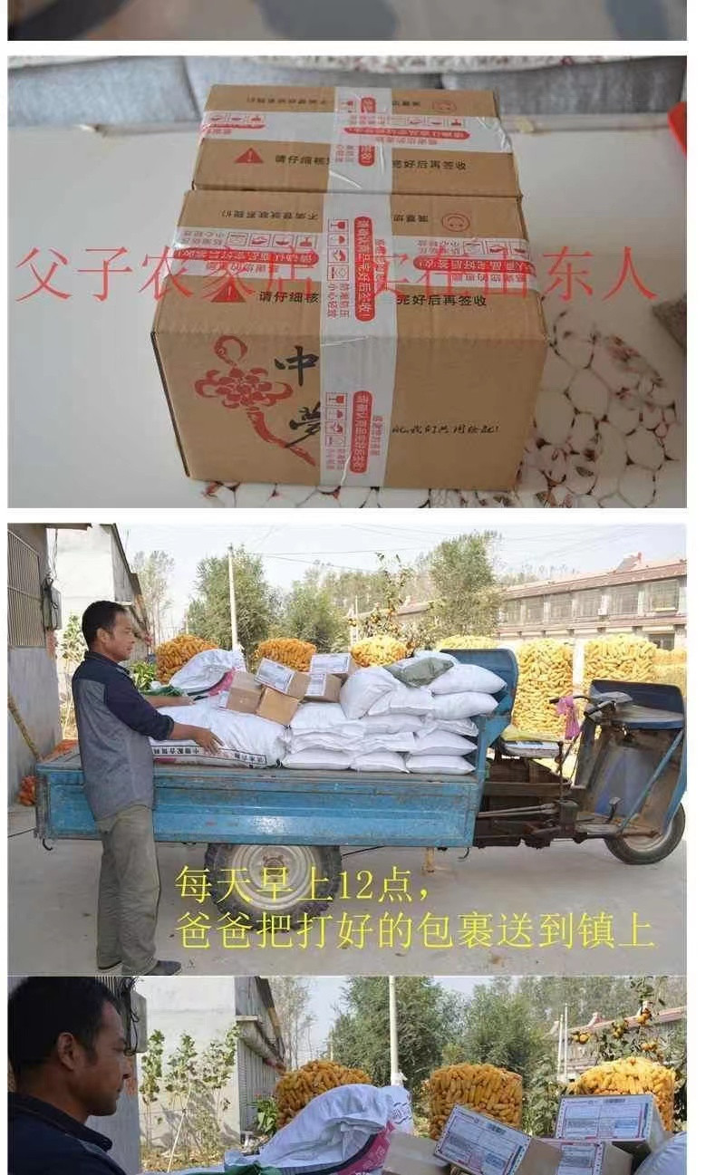 农家自产 河南农家自磨面粉20kg  包子饺子馒头通用