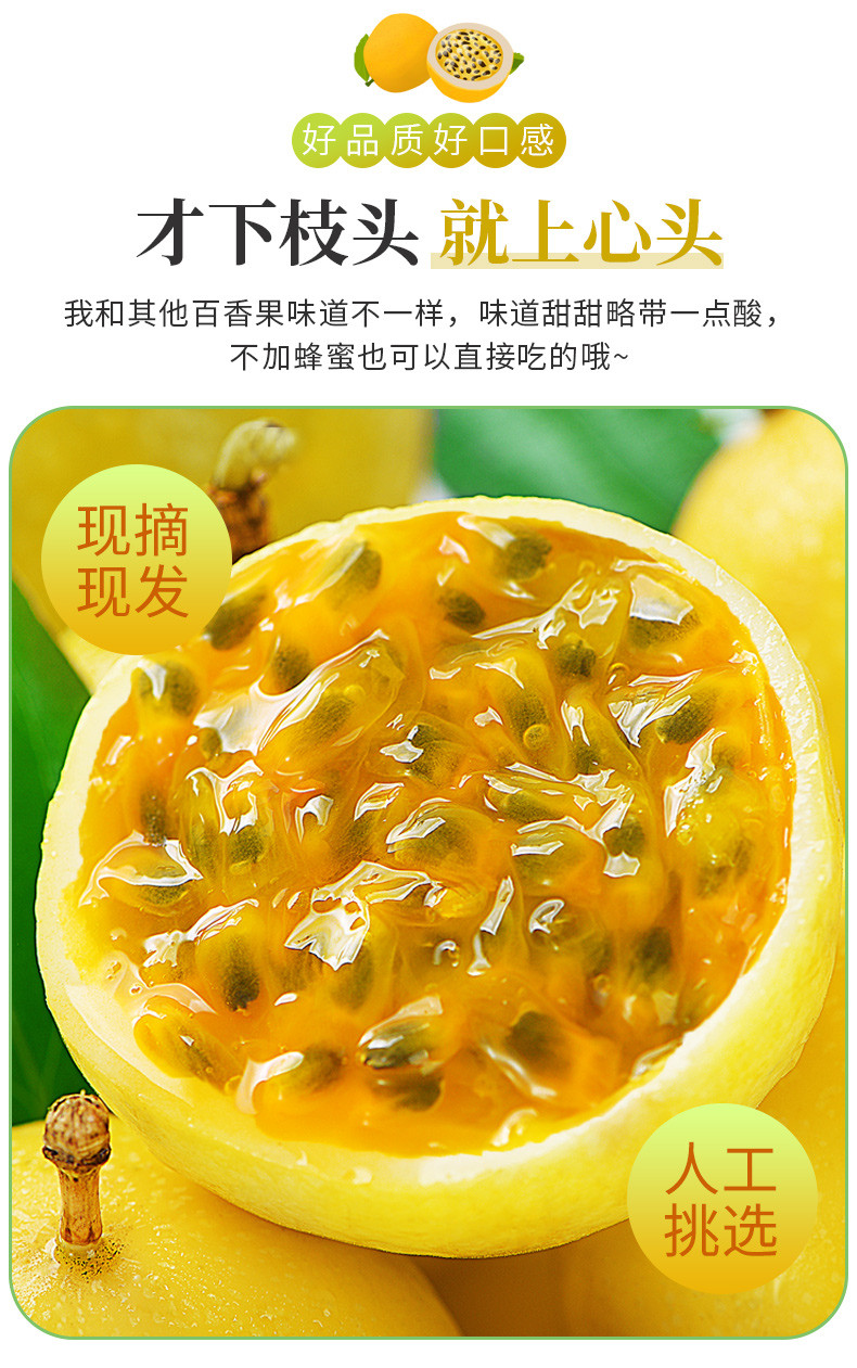 黄礤高山腊味 黄金百香果 2KG大果包甜