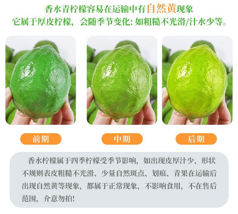 新丰佛手瓜 新丰佛手瓜 广东香水柠檬奶茶店专用 青柠檬 5KG/箱