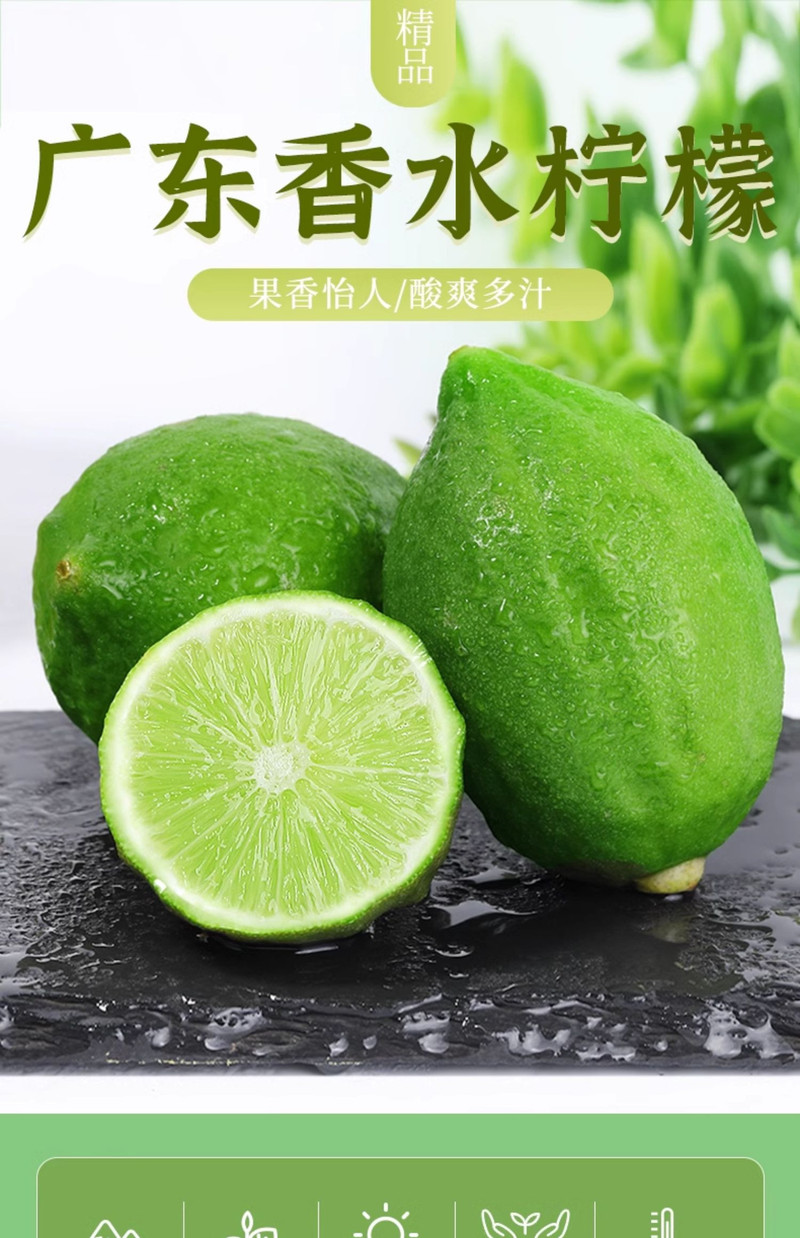 新丰佛手瓜 新丰佛手瓜 广东香水柠檬奶茶店专用 青柠檬 5KG/箱