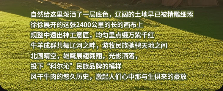 科尔沁 风干牛肉超干特干200g内蒙古特产袋装原味超干牛肉干