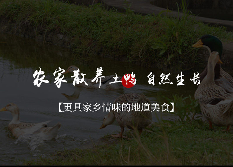 农家自产 江西特产风干腊板鸭农家散养鸭整只1斤/2斤装 味道纯正肉质结实