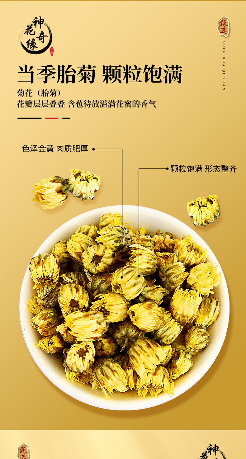 【当季新货】 桐乡胎菊菊花 清爽润口 神花奇缘/SHENHUAQIYUAN