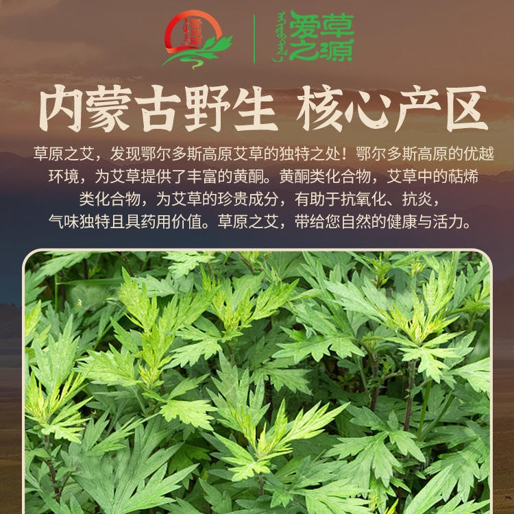 爱草园 艾草民族风枕头（小）