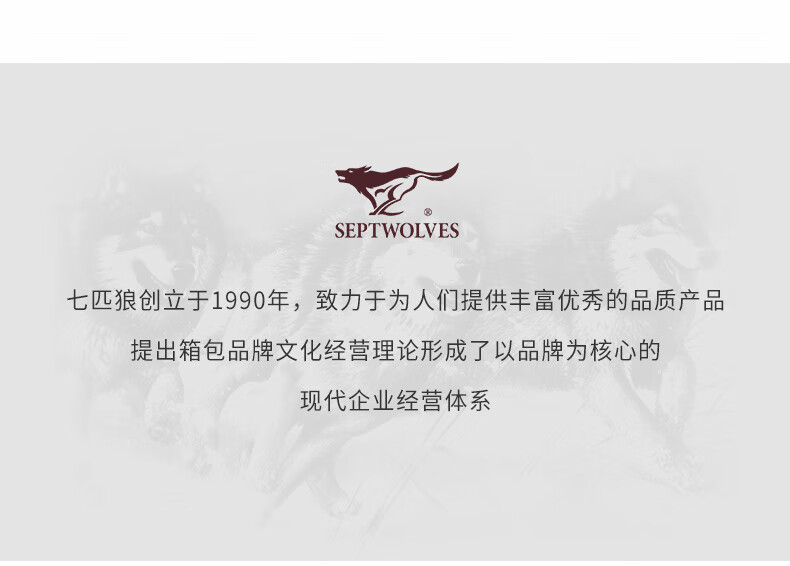 七匹狼 七匹狼双肩包男士大容量旅行背包休闲轻便书包多功能商务出差电脑