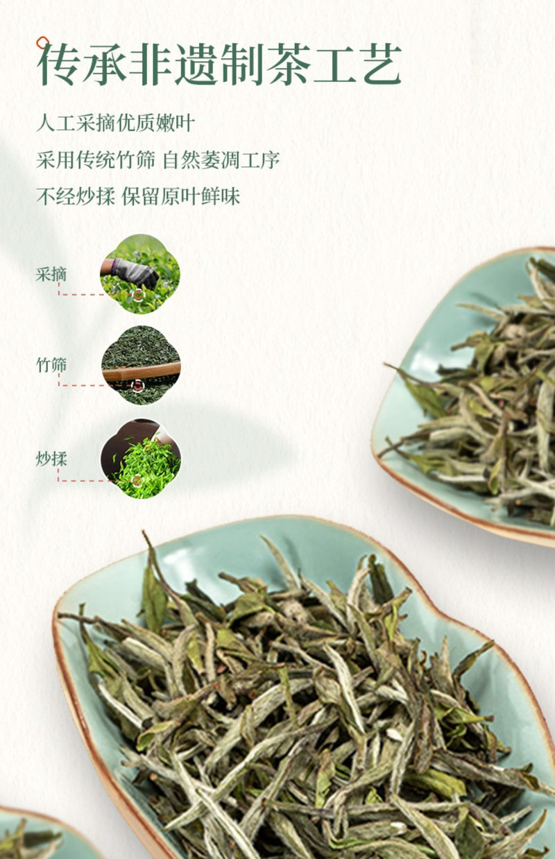 一针两叶 慢慢茶福鼎白茶白茶饮料500ml*15瓶 白茶饮料