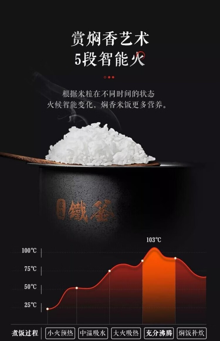 amadana 艾曼达低糖电饭煲IH米汤分离家用小型电饭锅捞沥蒸煮技术2L