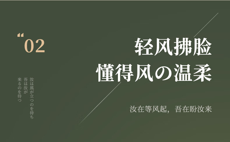 amadana 空气循环扇遥控电风扇涡轮对流非静音空调换气扇3D/4D循环