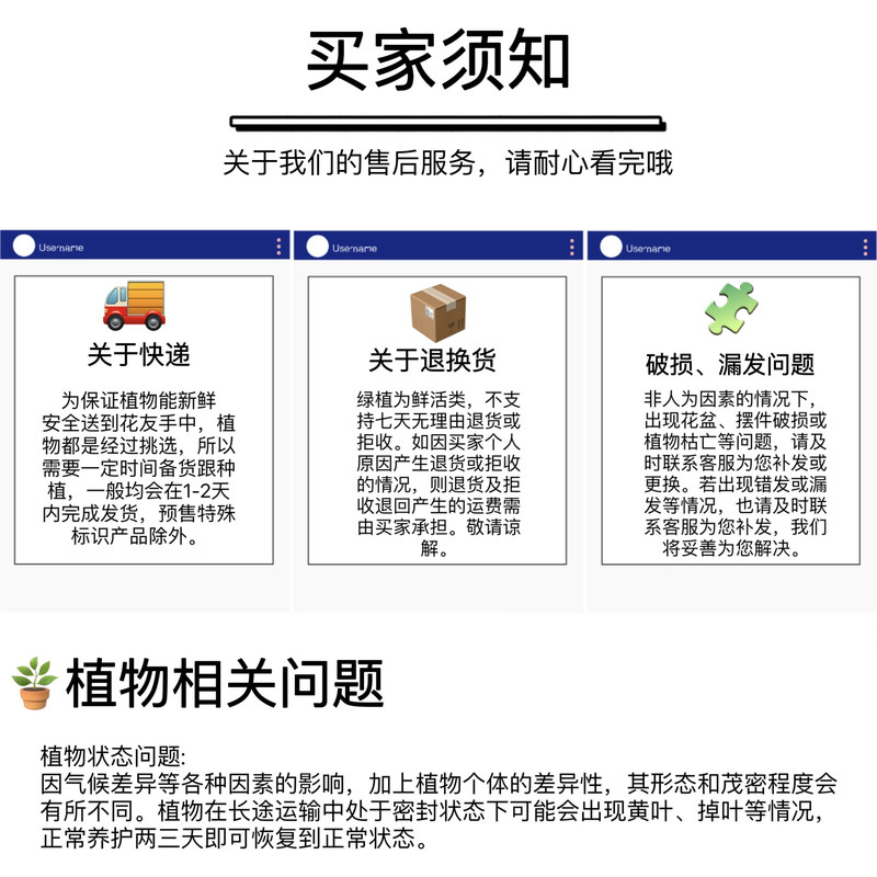 农家自产 虎刺铁海棠树脂盆 盆栽绿植盆景桌面摆件