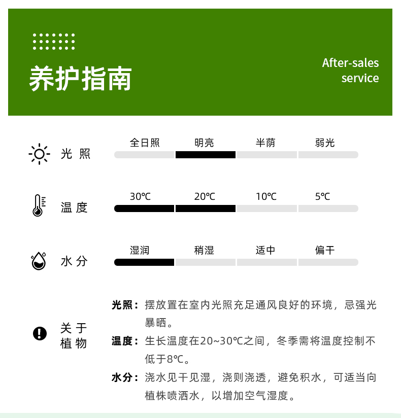 农家自产 富贵榕 陶瓷盆组合单盆