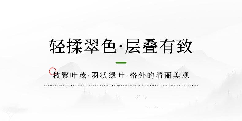 农家自产 文竹四方舍得盆栽 带盆带架