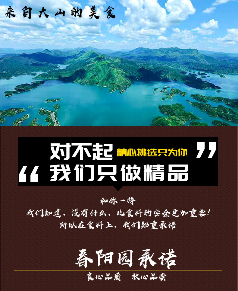 阳春园 湖北特产桂花茶油老式手工芝麻饼健康零食糕点10个700g/筒