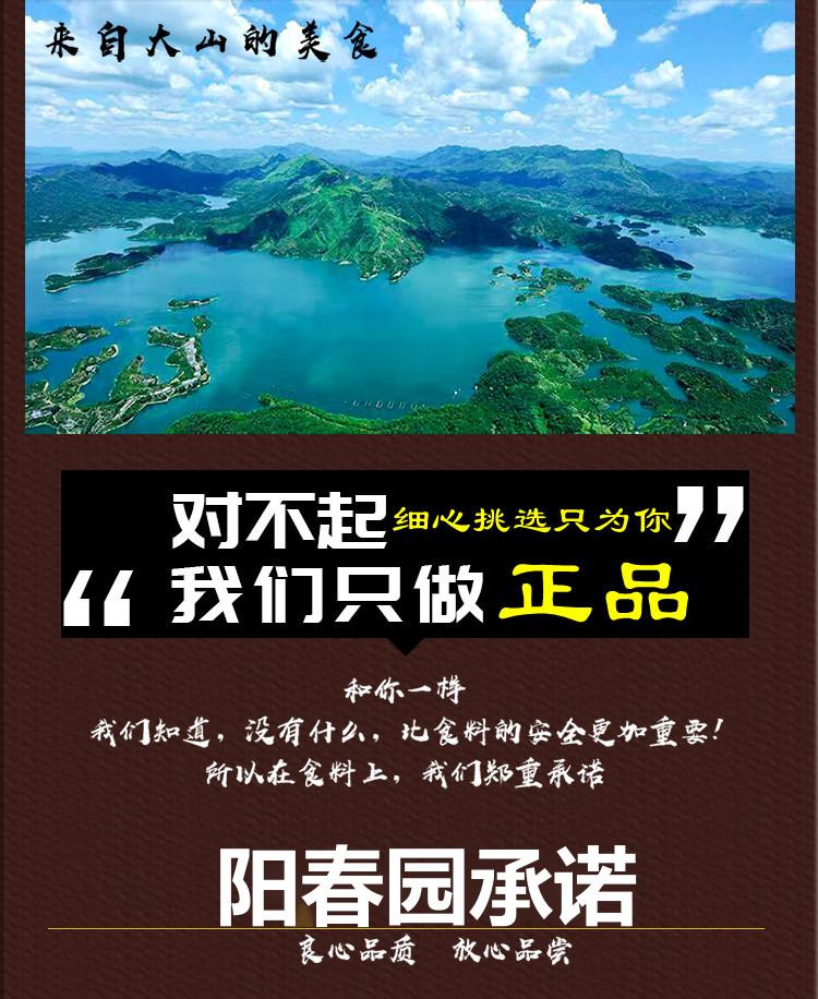 阳春园 桂花茶油芝麻饼传统手工糕点零食黄罐装10个/500g*2/提