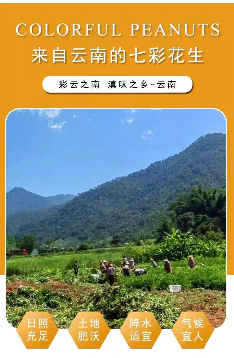 农家自产 云南保山农家自种七彩花生干花生花生米