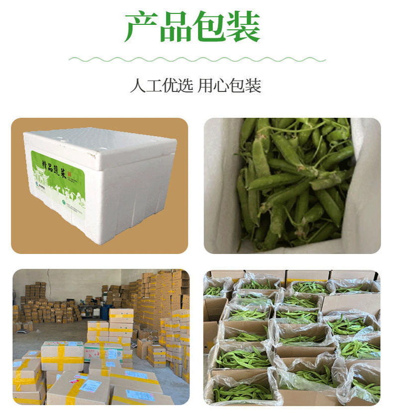 农家自产 云南保山富硒新鲜豌豆甜脆豌豆长寿豆现摘现发包邮到家