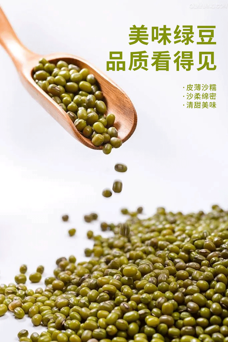 粒司 绿豆 颗颗饱满*1袋