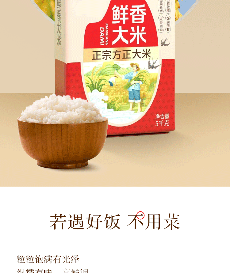 新食道 长粒香大米 粒粒饱满 *4袋