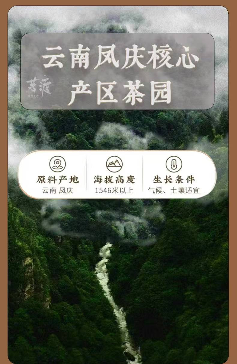 施韵甸美 云南滇红茶高山采摘高原大金针