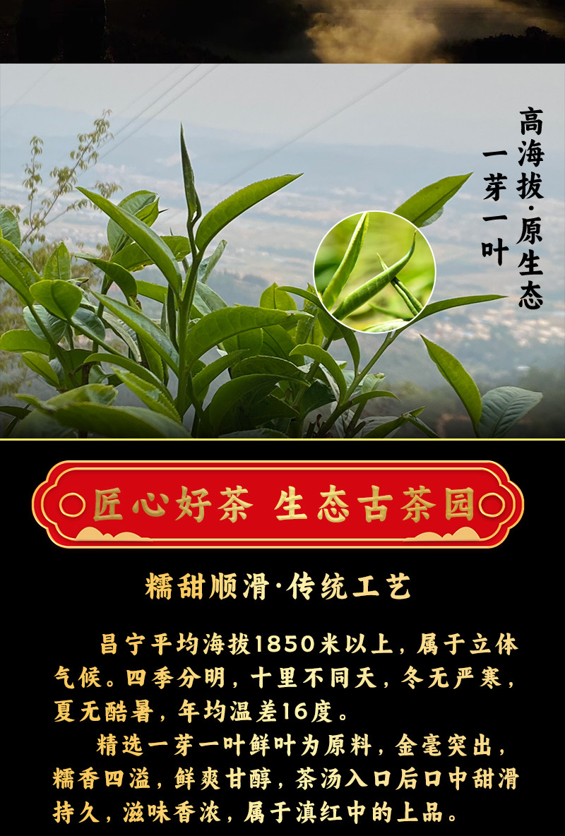 施韵甸美 云南昌宁大叶山红金针红茶糯香古树红茶特级浓香型茶叶原生工夫茶