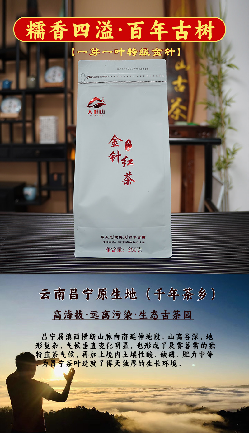 施韵甸美 云南昌宁大叶山红金针红茶糯香古树红茶特级浓香型茶叶原生工夫茶