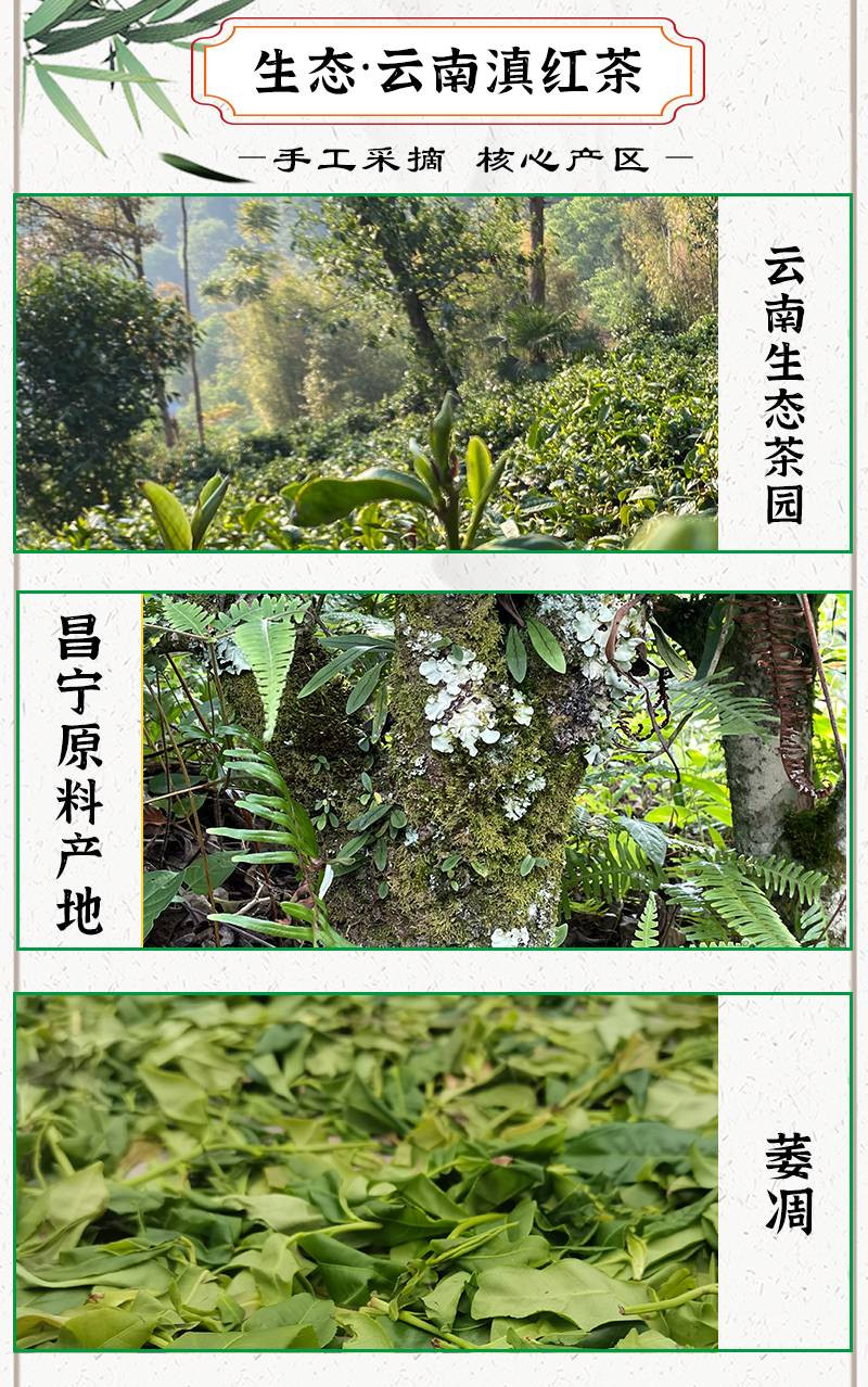 施韵甸美 云南大叶山昌宁滇红红茶高山原生态古树茶叶甜润蜜香型养胃茶袋装