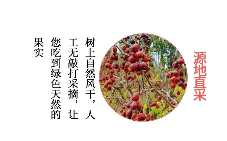 汉唐 【山西临汾】红枣