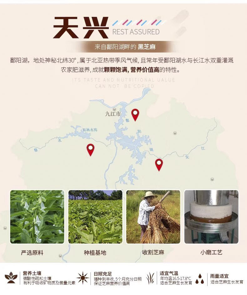 天兴 天兴江西黑芝麻油小瓶装香油凉拌小磨香油火锅蘸料家用调味100