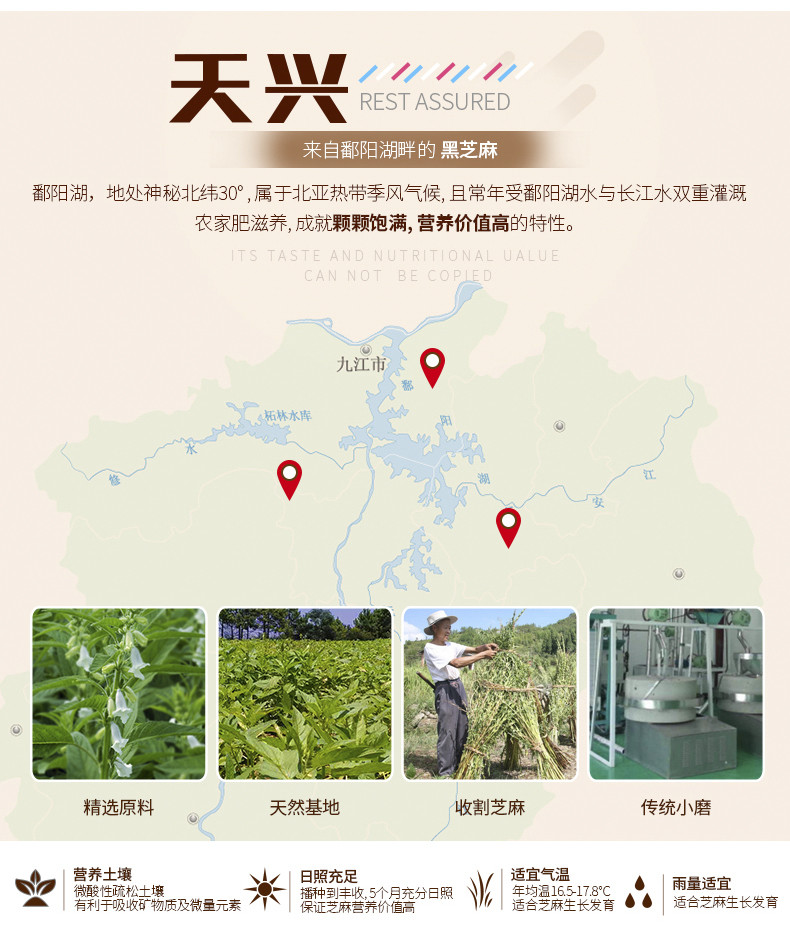 天兴 浓香黑芝麻油248ml即食调味凉拌拌馅食用营养水代法工艺